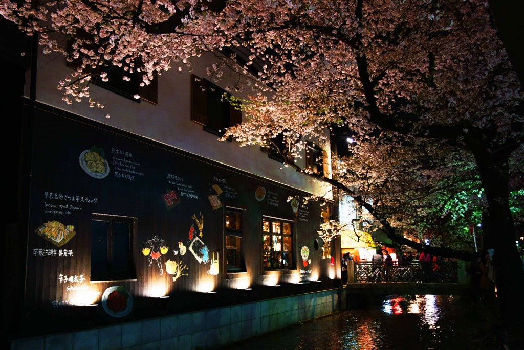 春の高瀬川　：京都四条